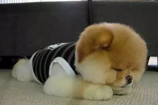 春節后上班第一天，據說你是這樣的！