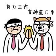 情人節！你收到的是“玫瑰”還是“月季”？