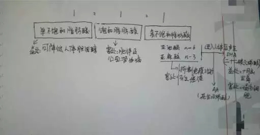 你以為的金龍魚1:1:1就是1:1:1嗎？
