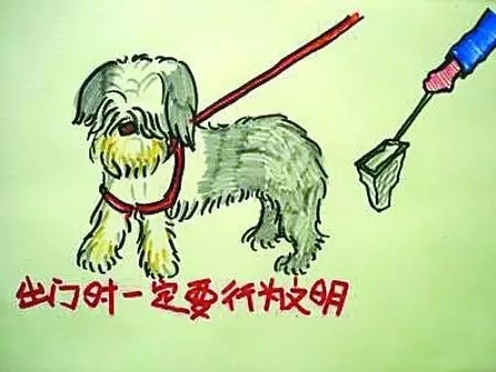 如何做一名合格的鏟屎官？