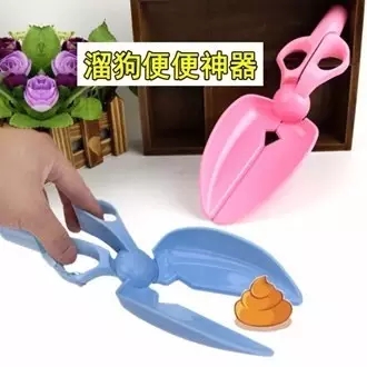 如何做一名合格的鏟屎官？