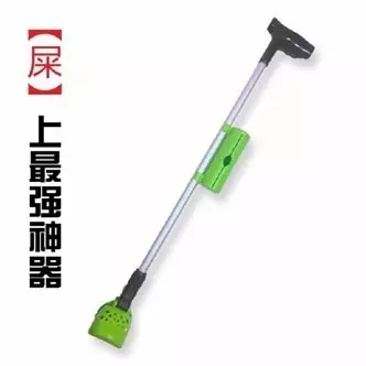 如何做一名合格的鏟屎官？