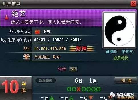 力壓DeepZenGO，騰訊圍棋AI的奪冠是個屌絲逆襲的故事嗎？