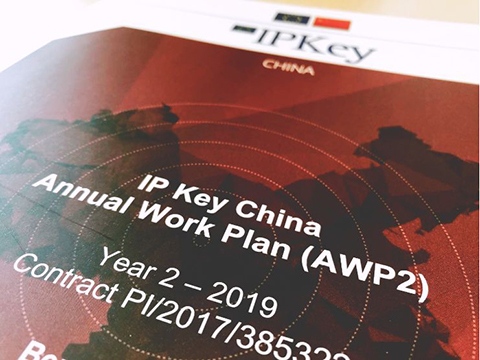 IP Key中國項目2019年度工作計劃公布！
