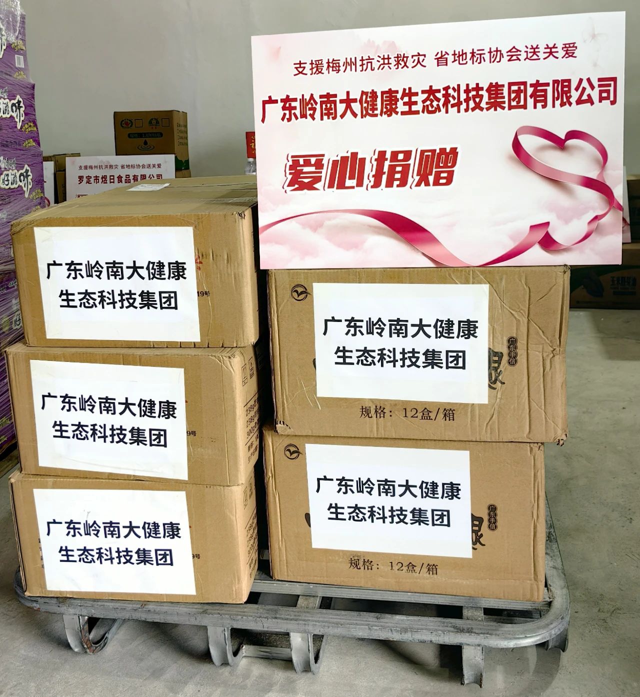 支援梅州抗洪救災 省地標協會送關愛
