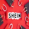 從程序到實體的多輪攻防：SHIEN.COM域名案獲勝紀實 
